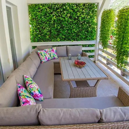 Vacation My Dream Buna