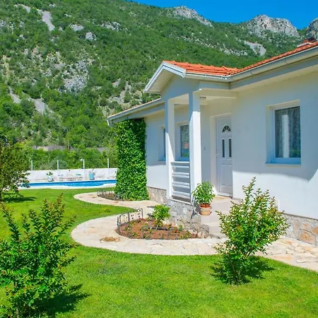 Vacation My Dream * Buna