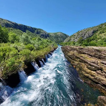 Vacation My Dream * Buna