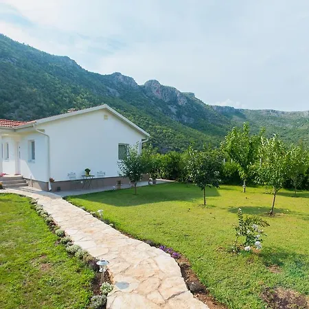 Vacation My Dream * Buna